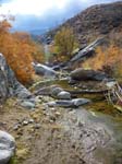 palm-canyon-73