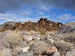 palm-canyon-74