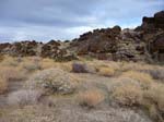 palm-canyon-77