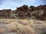 palm-canyon-78