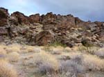 palm-canyon-79