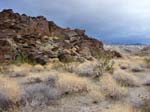 palm-canyon-80