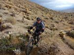 palm-canyon-82