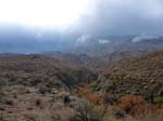 palm-canyon-83