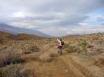 palm-canyon-84
