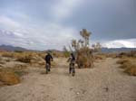 palm-canyon-86