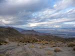 palm-canyon-89