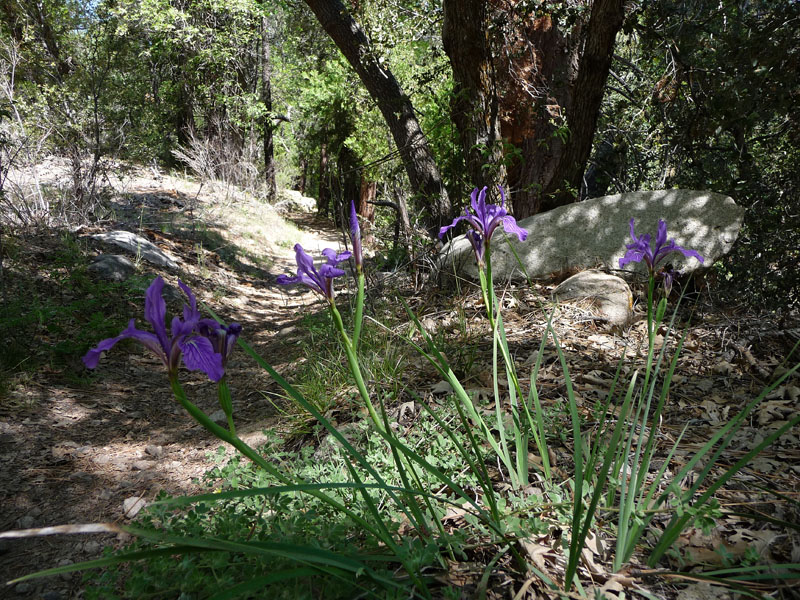 santa-ana-river-trail-028