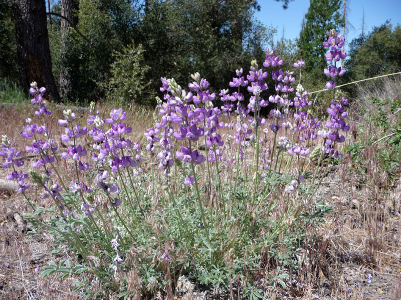 santa-ana-river-trail-032