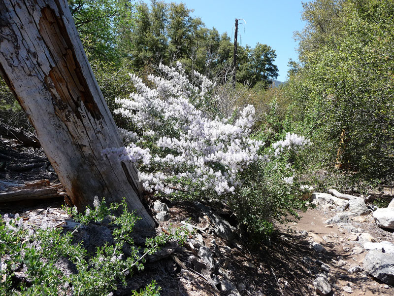 santa-ana-river-trail-035