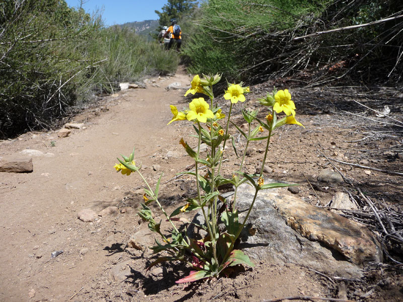 santa-ana-river-trail-042