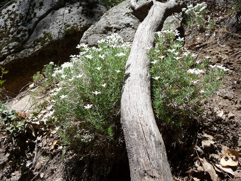 santa-ana-river-trail-047