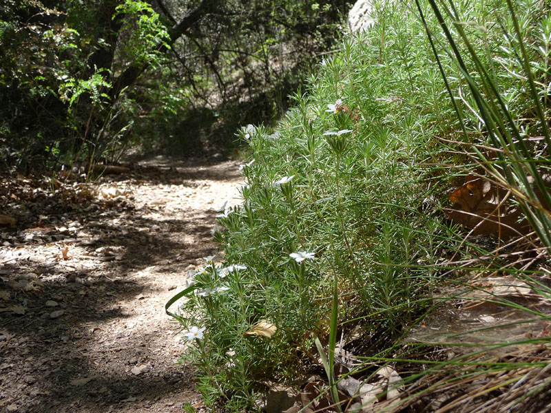 santa-ana-river-trail-048