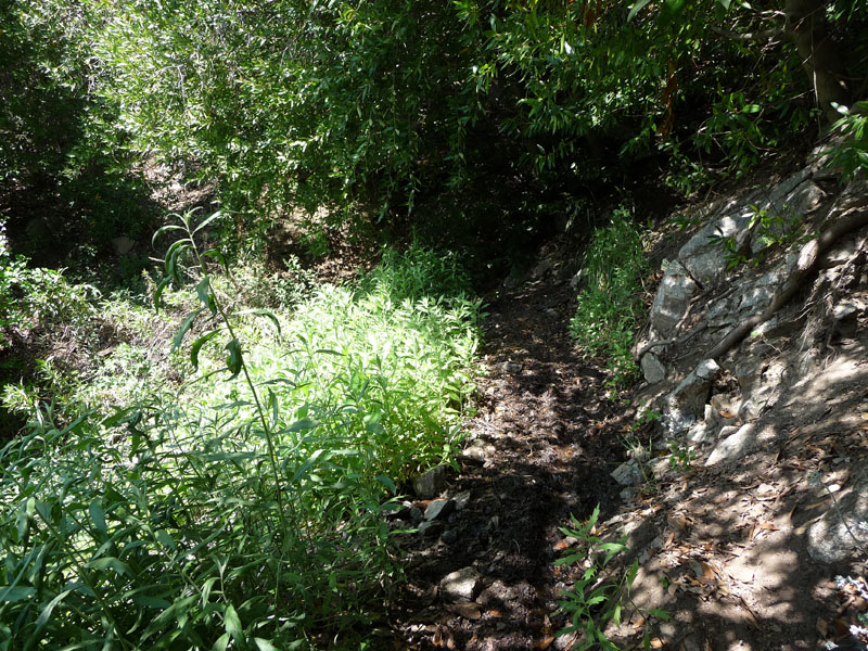 santa-ana-river-trail-086