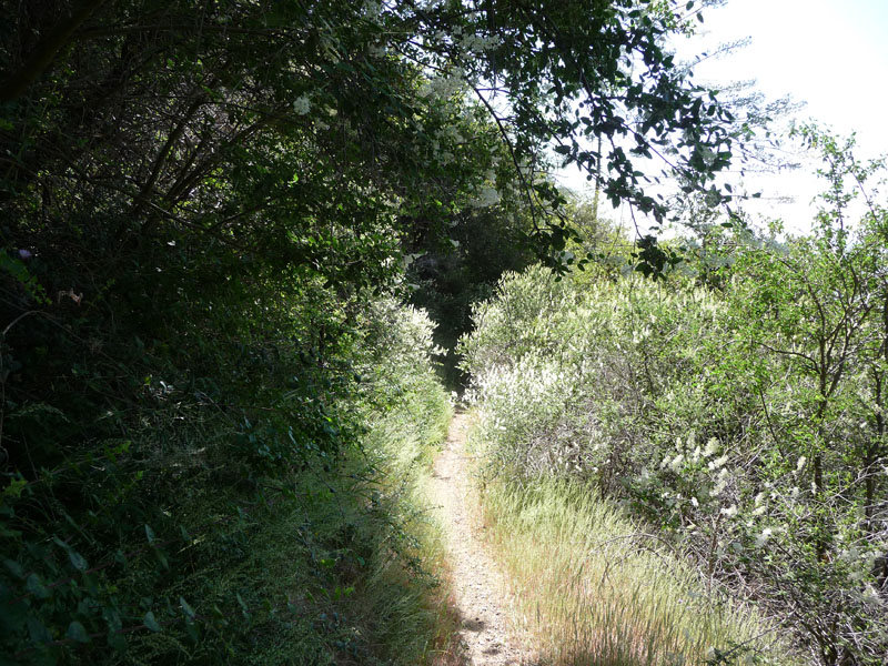 santa-ana-river-trail-092