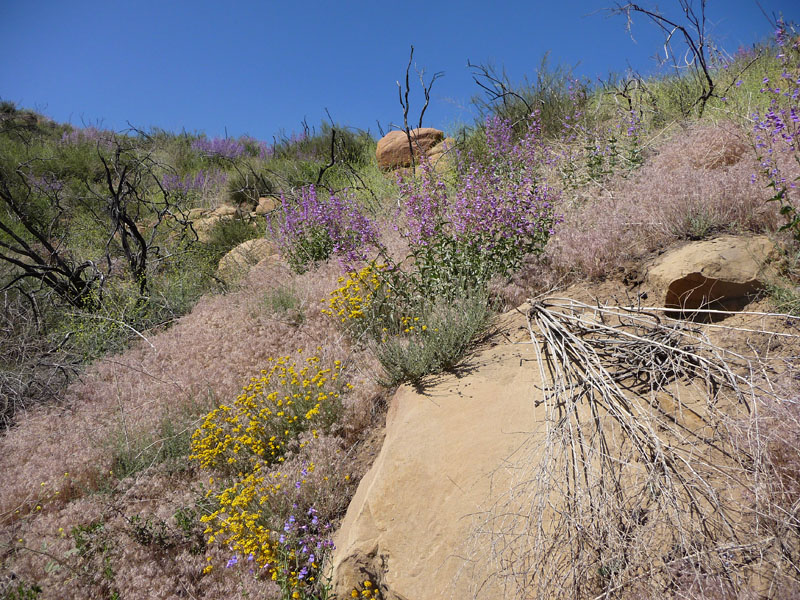 santa-ana-river-trail-103