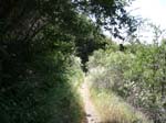 santa-ana-river-trail-092