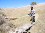 san-clemente-singletracks-072