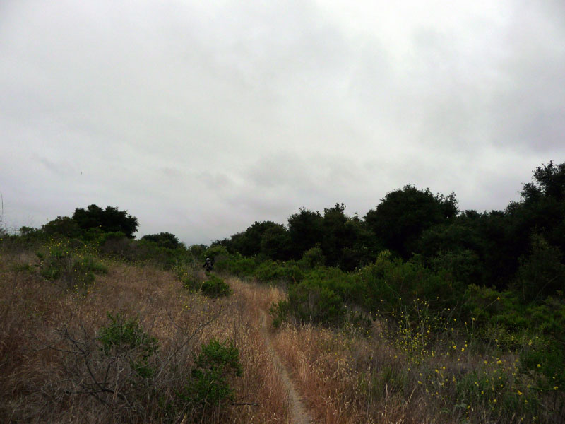 san-clemente-singletracks-22