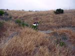 san-clemente-singletracks-44