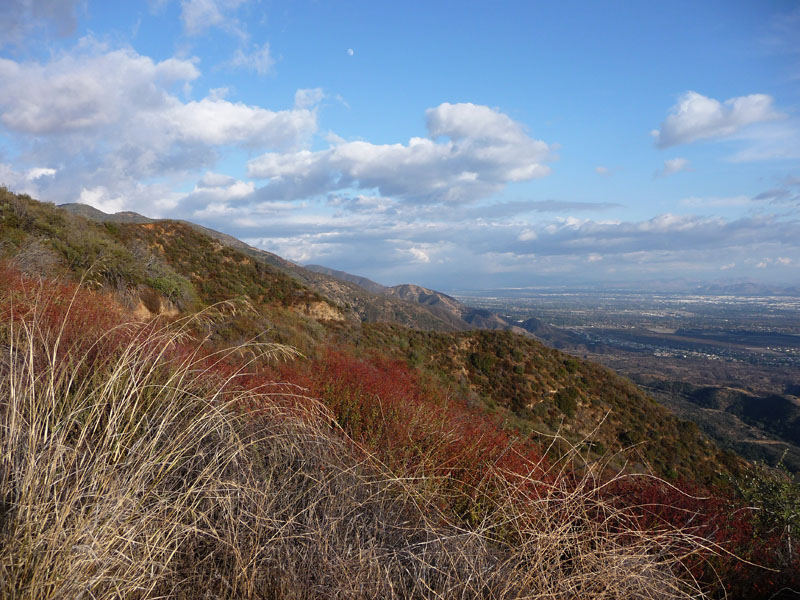 sunset-ridge-fire-road-50