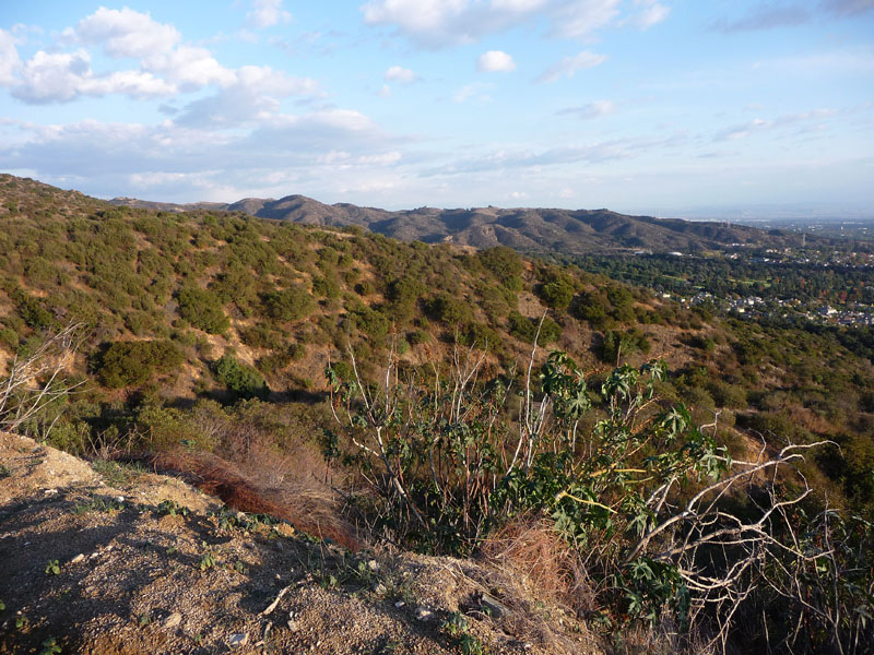 sunset-ridge-fire-road-60