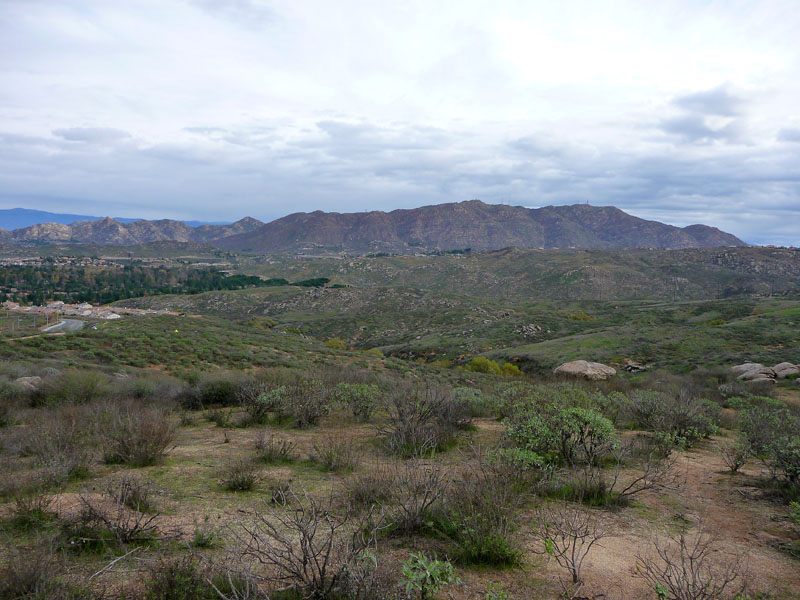 sycamore-canyon-riverside-P1030921