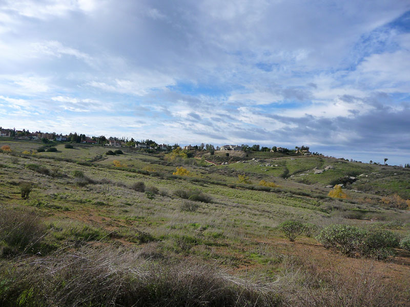 sycamore-canyon-riverside-P1030924