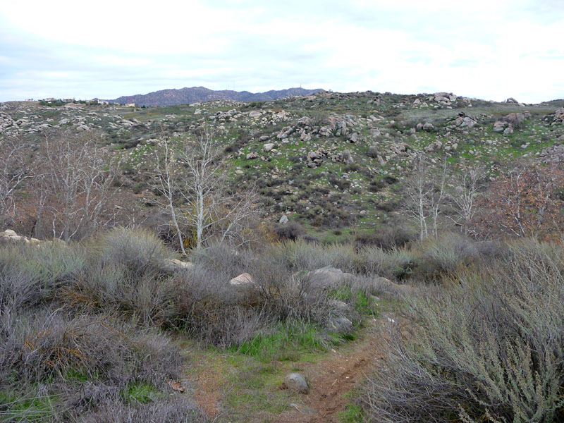 sycamore-canyon-riverside-P1030932