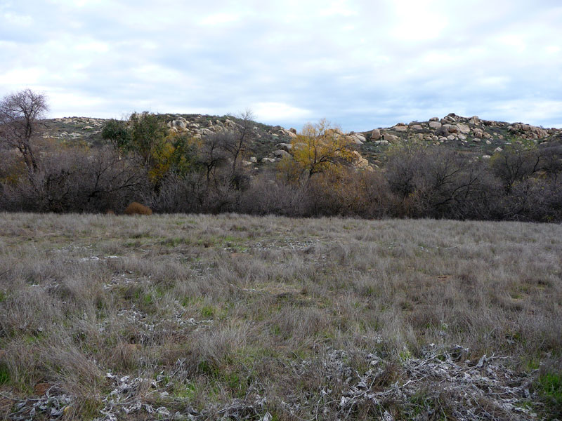 sycamore-canyon-riverside-P1030935