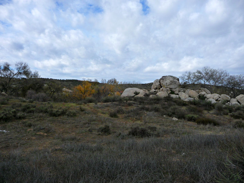 sycamore-canyon-riverside-P1030938