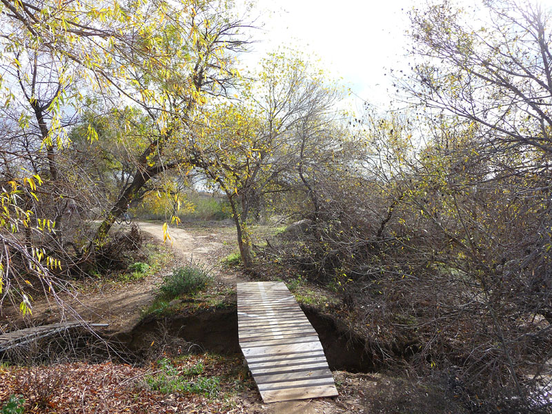 sycamore-canyon-riverside-P1030952