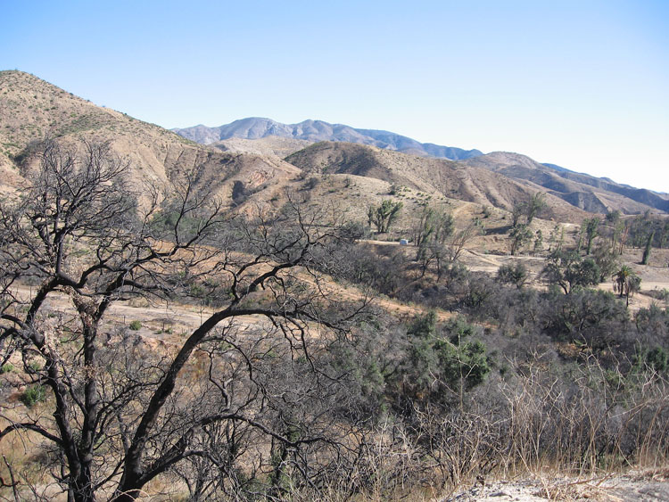 santiago-truck-trail-luge-04