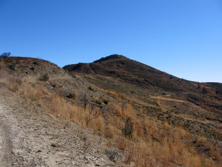 santiago-truck-trail-luge-18