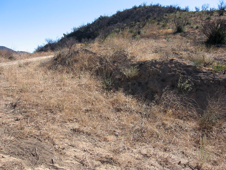 santiago-truck-trail-luge-31