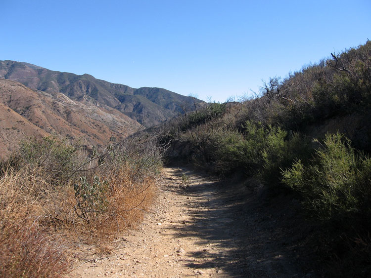 santiago-truck-trail-luge-34