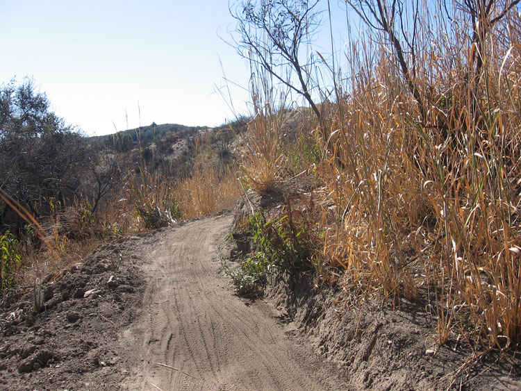 santiago-truck-trail-luge-49