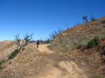 santiago-truck-trail-luge-51