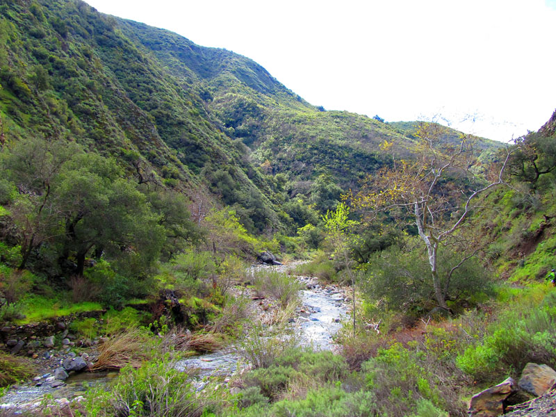 trabuco-wash-IMG_0378