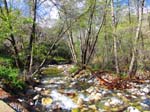 trabuco-wash-IMG_0367