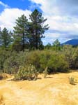 trabuco_horsethief_main_divide_IMG_3254