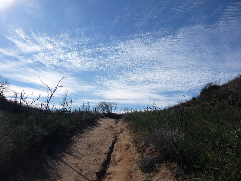 santiago-oaks-weir-canyon-loop-39