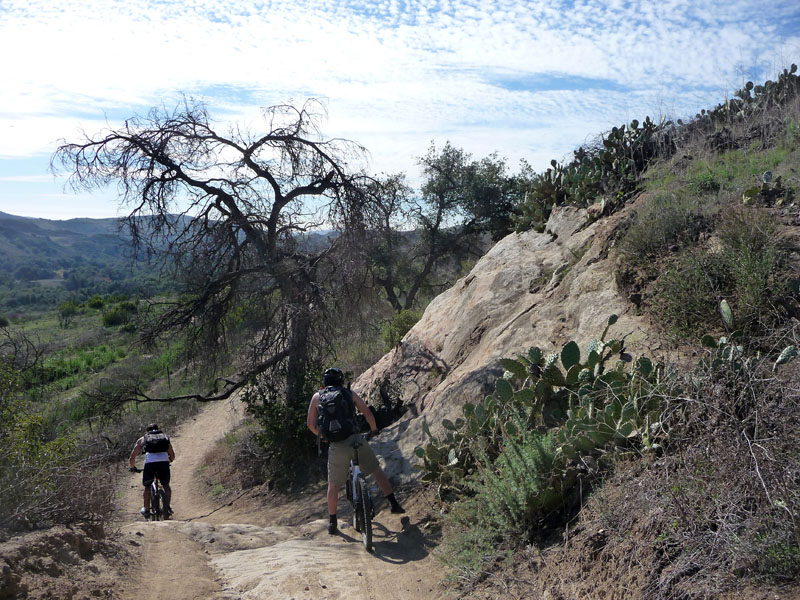 santiago-oaks-weir-canyon-loop-40