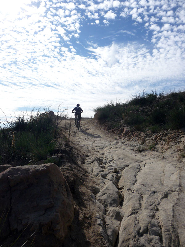 santiago-oaks-weir-canyon-loop-50