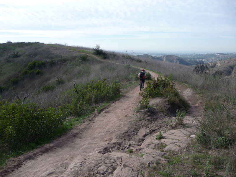 santiago-oaks-weir-canyon-loop-55