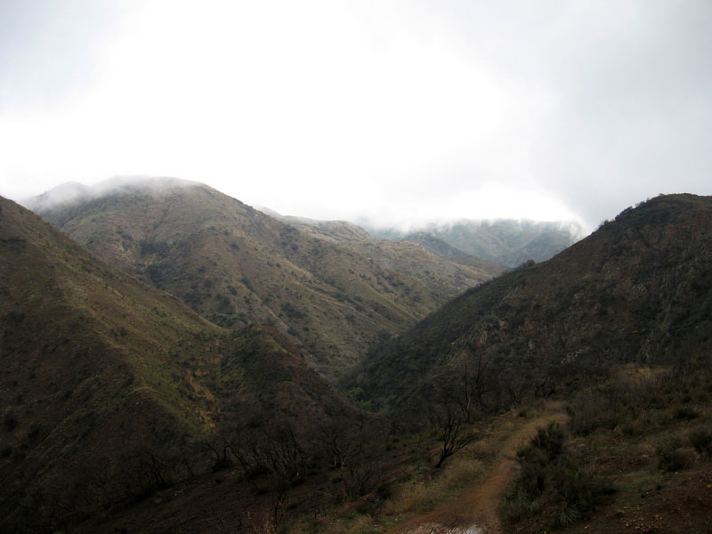 whiting-ranch-luge19