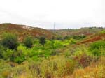 serrano_whiting_aliso_IMG_1343