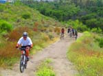 serrano_whiting_aliso_IMG_1346