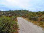 serrano_whiting_aliso_IMG_1349