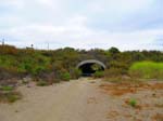 serrano_whiting_aliso_IMG_1350
